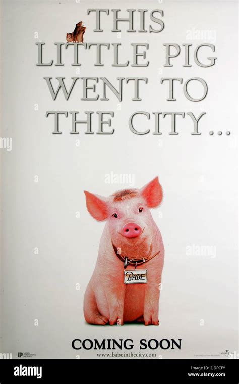 Babe Pig In The City 1998 Hi Res Stock Photography And Images Alamy