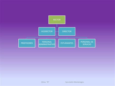 Organizador Gráfico Ppt