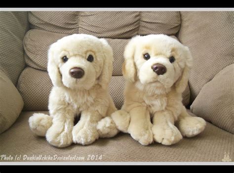 Webkinz Signature Golden Retrievers By Beachbumdunkin On Deviantart