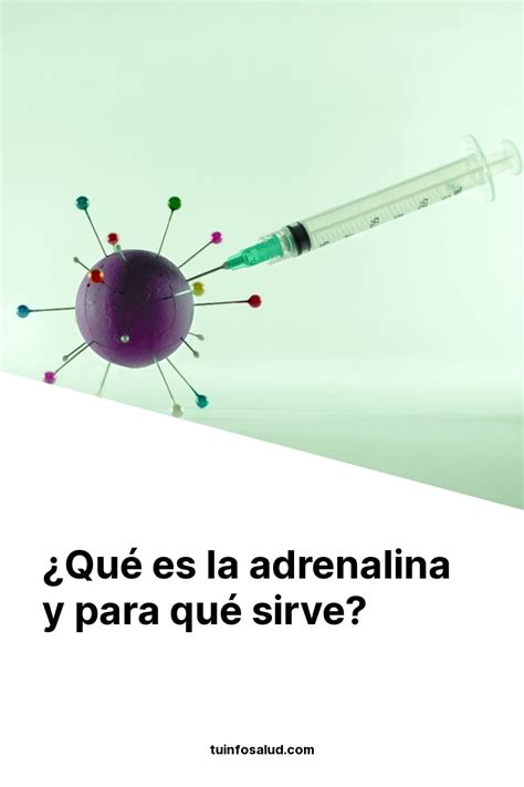 Qu Es La Adrenalina Y Para Qu Sirve Tuinfosalud