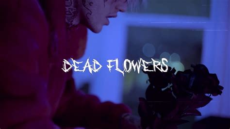 Free Sad Lil Peep X Ivoxygen Type Beat Dead Flowers Youtube