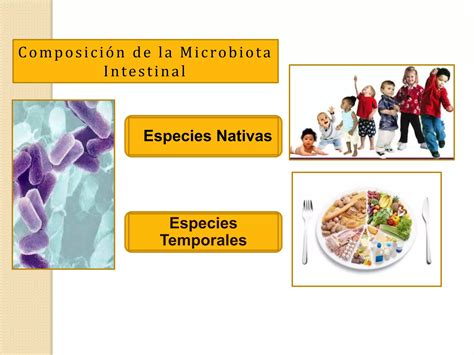 Conferencia Microbiota Intestinal Un Mundo Por Descubrir Nutrici N Y