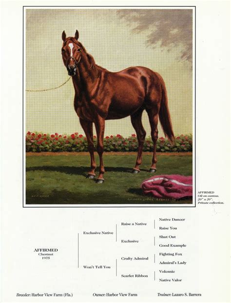 Affirmed Photo From Oil Painting 1978 Kentucky Derby Horse Racing