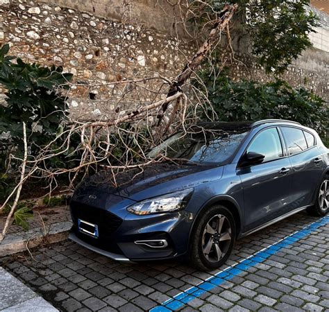 Reggio Calabria Tragedia Sfiorata In Centro Albero Crolla Su Auto Foto