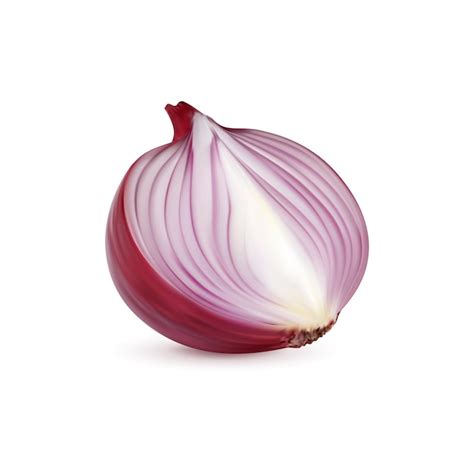 Premium Vector Ripe Raw Realistic Red Onion Vegetable Half 3d