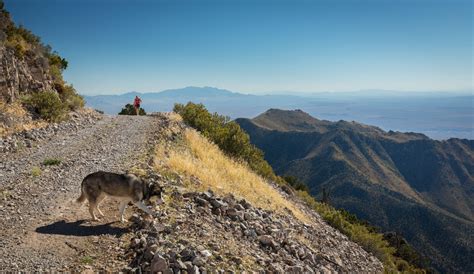 West Mountain Peak - Adam Elliott Photography