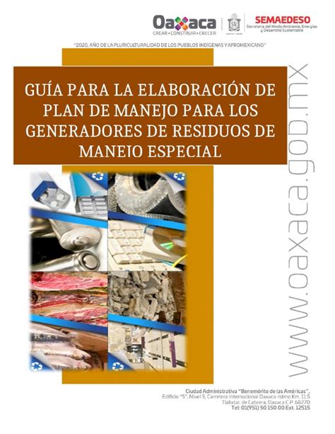 DOCX GUÍA PARA LA ELABORACIÓN DE PLAN DE MANEJO Web