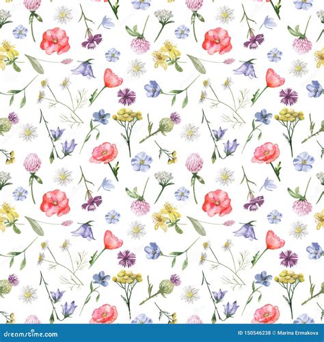 Watercolor Seamless Pattern With Wildflowers Stock Illustration