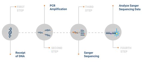 Dna Sanger Sequencing Lg Ga Seq Lab Genetix