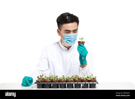 Male Young Scientists Study Plants Stock Photo Alamy
