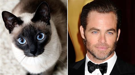 Celebrities and their cat soulmates | HELLO!