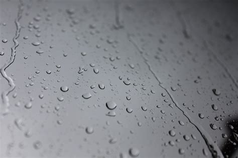 Rain drops on window Free Photo Download | FreeImages