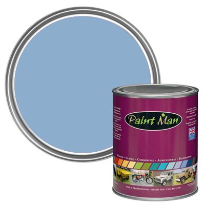 Pale Roundel Blue Bs Standard Colour Paintman Paint