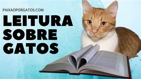 Dica Leitura Sobre Gatos YouTube