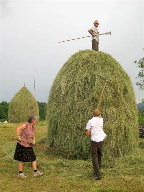 La Tradition Des Meules De Foin En Roumanie 2Tout2Rien