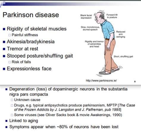 Pharmacology Of Parkinson Disease Flashcards Quizlet