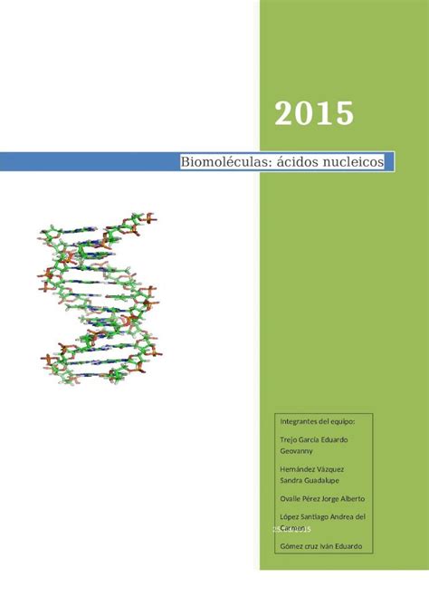 DOCX Biomoléculas ácidos nucleicos Web viewLa síntesis de proteína