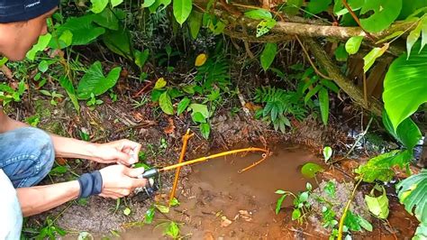 GAK MASUK AKAL TAPI MEMANG ADA Lubang Sekecil Ini Bisa Dapat Ikan