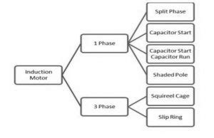 Types of Induction Motor - Working, Advantages & Their Applications