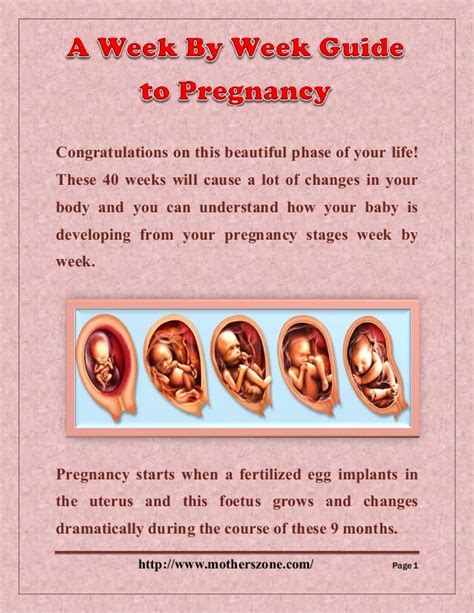 Pregnancy Week By Week Guide