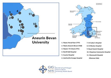 Aneurin Bevan University Health Board Richmond Nursing Agency Ltd