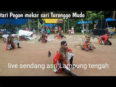 Tari Pegon Mekar Sari Turonggo Mudo Bukit Rejo Jaranan Lampung Tengah