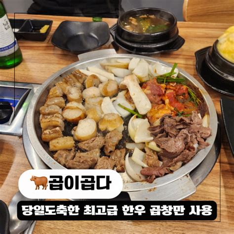 춘천 소곱창 맛집 퇴계동 곱이곱다 한우 모듬구이 후기 네이버 블로그