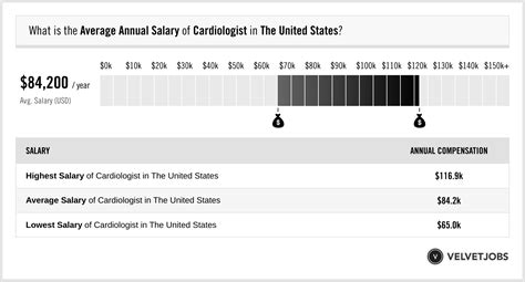 Average Monthly Salary In Usa 2025 Lucia Belle