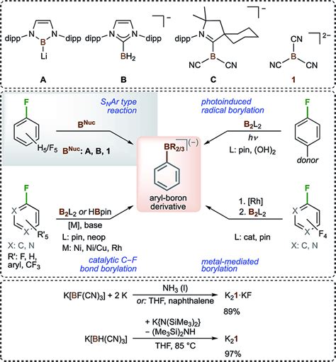 Selected Boron Centred Nucleophiles Top The Different Types Of Download Scientific Diagram