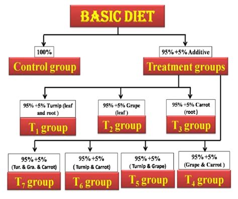 A Diagram Showing The Preparation Of Different Experimental Diets