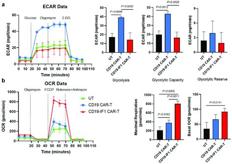 Atpif Overexpression In Car T Cells Reprogrammed Metabolism For A Fall