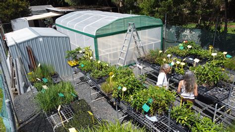 Aussie Shade And Hot Houses Greenhouses Ultimate Plant Protection