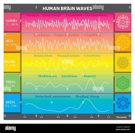 Diagrama De Ondas Cerebrales Humanas En Colores Del Arco Iris Con