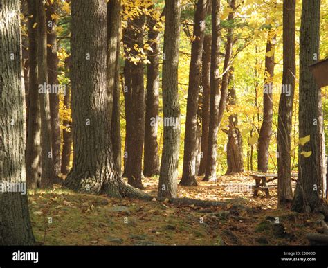 Fall scenes barn hi-res stock photography and images - Alamy