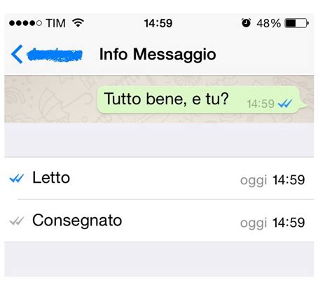 Whatsapp Orario Di Lettura Messaggi Chat