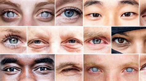 Tenemos genes para regenerar ojos ciegos pero desactivamos la función