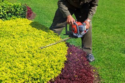 Professional Bush Trimming - TJs Bush Trimming