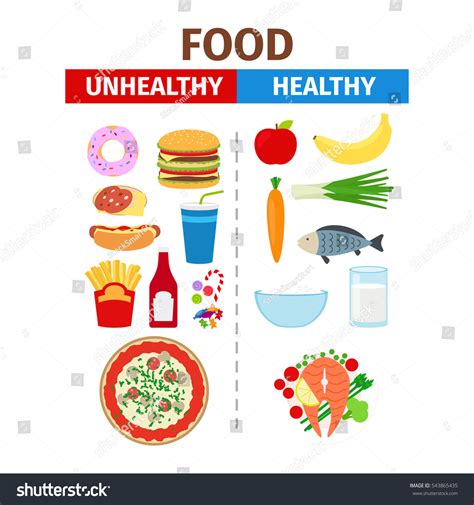 Healthy Unhealthy Food Vector Poster White Stock Vector Royalty Free