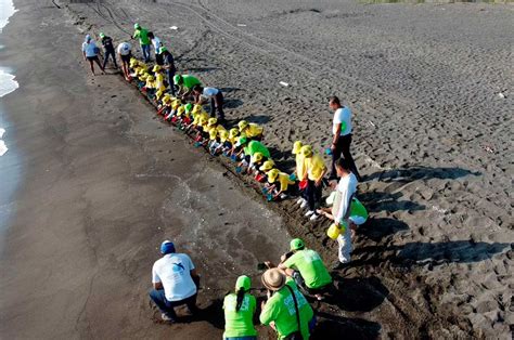 Snoopy Se Une A La Limpieza De Playas En México Dónde Ir
