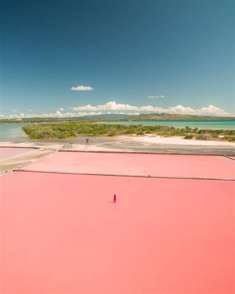 Pink Beach Puerto Rico | Musicianard