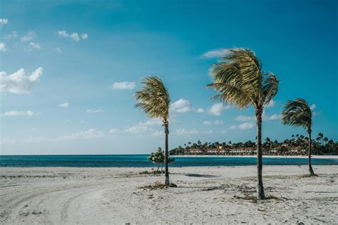 Drinking Water in Aruba: Pure, Safe, and Sustainable - Arubapapers