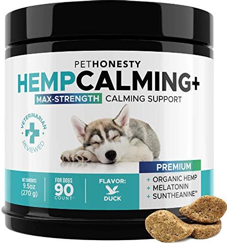 Best Dog Calming Treats For Anxious Dogs 8 Most Effective In 2022