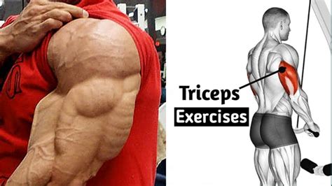 Increase Your Tricep Size Top 5 Best Tricep Workout For Bigger Arm