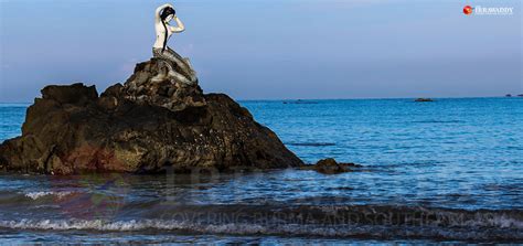 night market  thandwe   green light