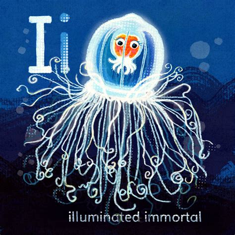 Immortal Jellyfish Octonauts