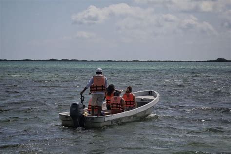 La Jornada Maya Quintana Roo La Jornada Maya Proyecto Puerta Al