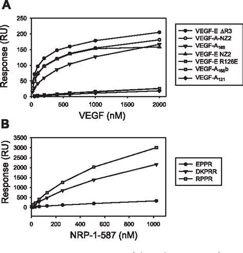 Figure From The Faseb Journal Research Communication Orf Virus Vegf