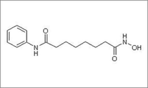 Vorinostat | CancerQuest