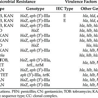 Genetic Characterization And Molecular Typing Of S Aureus Strains