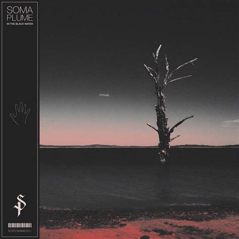 Australian Doomgazesludgepost Metal Collective Soma Plume Released